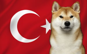 Shiba Inu Listed on Turkish Exchange: Details