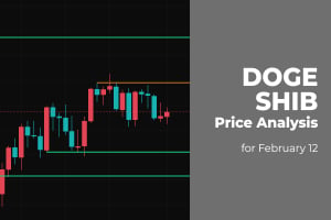 DOGE and SHIB Price Analysis for February 12