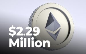 $2.29 Million in Ethereum Bought by Top 3 Shiba Inu Whale as ETH Soars to $3,100