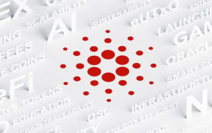 Cardano Foundation Announces a Shift in Leadership: Details