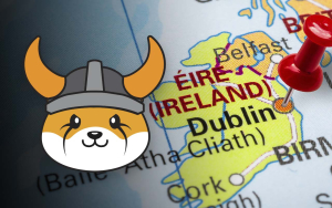 Floki Inu Faces Setback in Ireland