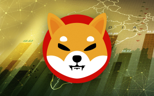 Major Indian Exchange Now Allows Buying Shiba Inu with Zero Fees