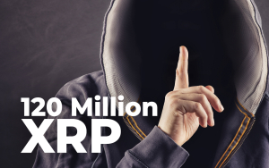 120 Million XRP Moved by Anonymous Whale to Private Wallet: Details