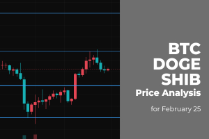 BTC, DOGE and SHIB Price Analysis for February 25