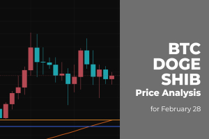 BTC, DOGE and SHIB Price Analysis for February 28