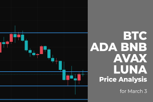BTC, ADA, BNB, AVAX and LUNA Price Analysis for March 3