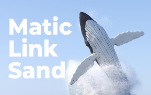 Matic, Link, Sand: Crypto Whales Are on Buying Spree, WhaleStats Report