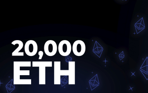 20,000 ETH Moved Between Wallets as Whales Continue to Buy: Details