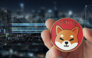 Shiba Inu Could Be Listed on Leading Middle Eastern Exchange