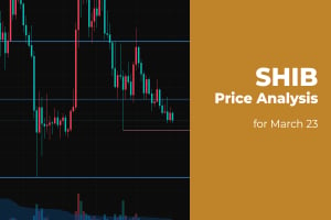 SHIB Price Analysis for March 23