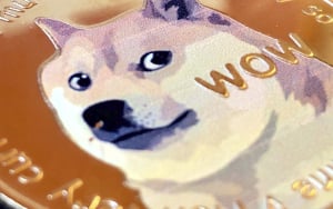 $40 Million Worth of Dogecoin Held by Top BSC Whales - DOGE Loses to MATIC: Details