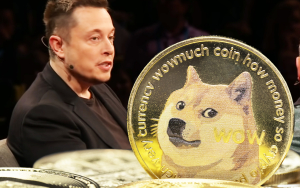Elon Musk Shares DOGE Video That “Explains Everything”