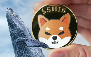 243.6 Billion SHIB Scooped Up by Whales as Token Recovers from Recent Fall