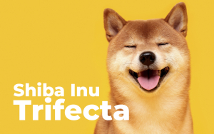 Shiba Inu Trifecta Now Available on This Singapore Based Exchange: Details