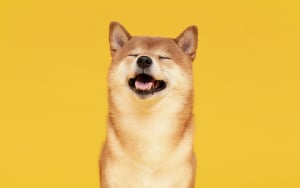 Shiba Inu Burn Portal Hits New Milestone with 15 Billion SHIB Burned