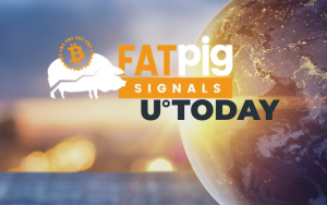 Fat Pig Signals Service Starts Broadcasting U.Today Content in Newsfeed