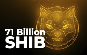 71 Billion SHIB Added by Major Investor as SHIB Returns as Whales' Biggest Holding