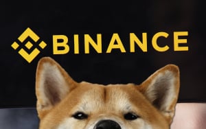 New Shiba Inu Trading Pair Lists on Binance: Details