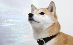 SHIB Price Hints at Incoming Volatility, Holders Increase by Nearly 20,000
