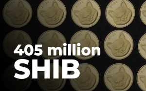 SHIB Army Removes 405 Million Shiba Inu Over Last 24 Hours: Report