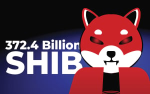 Investors Grab 372.4 Billion SHIB as It Flips FTT for Biggest Whale Holding in USD