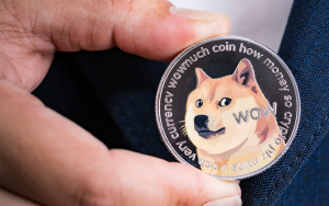 Dogecoin Profitability Increases to 53%, On-Chain Signals Hint at Bullish Indications