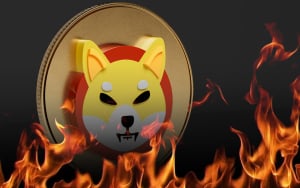 2.5 Billion SHIB Burned in Past 7 Days, While Shiba Surges 14%