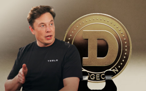 Elon Musk Slams Dogecoin Creator Over Claims of Twitter Bot Solution