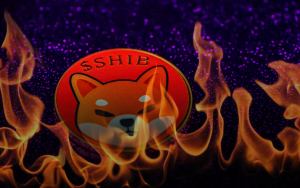 202 Million Shiba Burned as 47 Million SHIB Offered to Lucky Supporter by This Burner