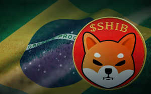 Shiba Inu Now Accepted as Payment by This Top Brazilian Football Club