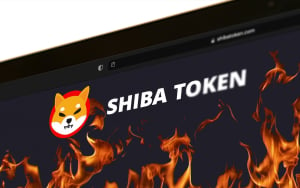 229 Million SHIB Burned in 11 Transactions: Report