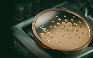 Cardano Onboards Native CDN for Non-Fungible Tokens