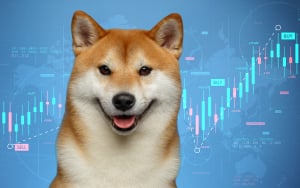 Shiba Inu Large Transactions Rose 880% as SHIB Saw Buying Pressure: Details