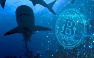 52,000 BTC Bought by Bitcoin Sharks Over Past Month: Report