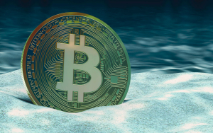 Bitcoin Might Reach Price Bottom Once These Three Factors Align: Details