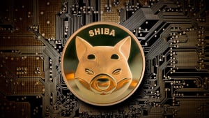 SHIB Can Now Be Utilized for Salaries Through This Shiba Inu Partnership