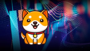 BabyDoge 60% Reversal Possible for This Reason