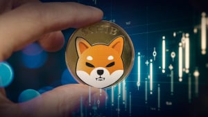 Shiba Inu to Rise? Here's Shiba Inu Dev's Response to User Who Wants SHIB to "Go Up"