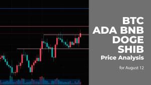 BTC, ADA, BNB, DOGE and SHIB Price Analysis for August 12