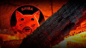 711 Million SHIB Burned in Last Week, Shiba Inu Burn Rate Up 824%