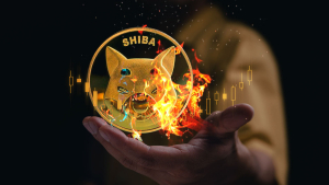 SHIB Burn Rate up 242.50% as Another 133 Million Shiba Gets Burned