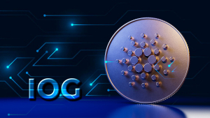 Cardano's IOG Gives Its Latest Update on State of Things for Vasil