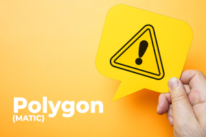 Polygon-Based Token Crashes to Zero in Rug Pull Scam