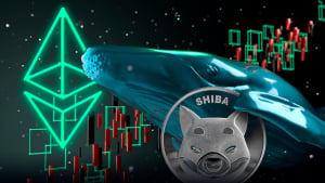 475 Billion SHIB Scooped up by Whales as ETH Merge Promises Positive Effects for SHIB