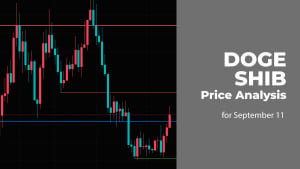 DOGE and SHIB Price Analysis for September 11