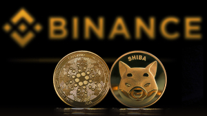 SHIB, ADA Users Can Now Enjoy 8% Cashback on Binance Card Purchases: Details