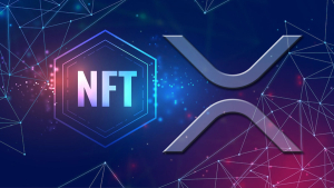 XRPL's Major NFT Amendment Suffers Critical Issue and Has Been Postponed: Details