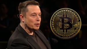 Doge Cofounder Kind of Reminds Elon Musk about Bitcoin