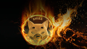 SHIB Burn Rate 1,900% Up As SHIB Army Gets Inspired by Upcoming SHIB Game “Download” Day