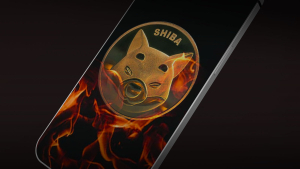 Mysterious SHIB Wallet Burns 40 Million Meme Coins, Here's Who Removed These SHIB